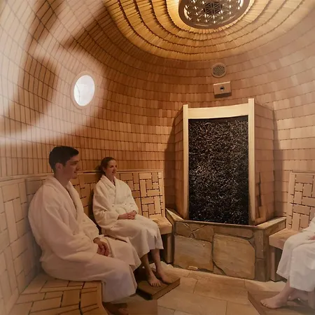 阿罗萨阿尔卑斯酒店 3*